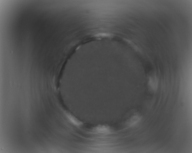 X0000082940668200702081625