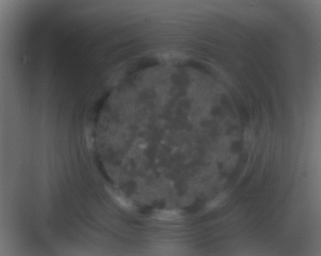 X0000082940671200702081625