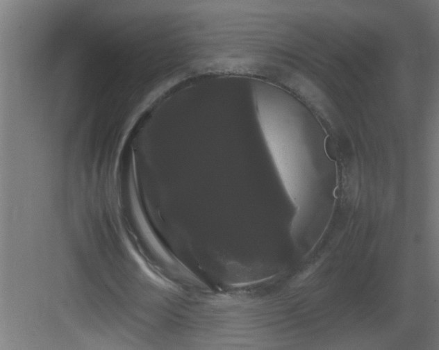 X0000082940674200702081624