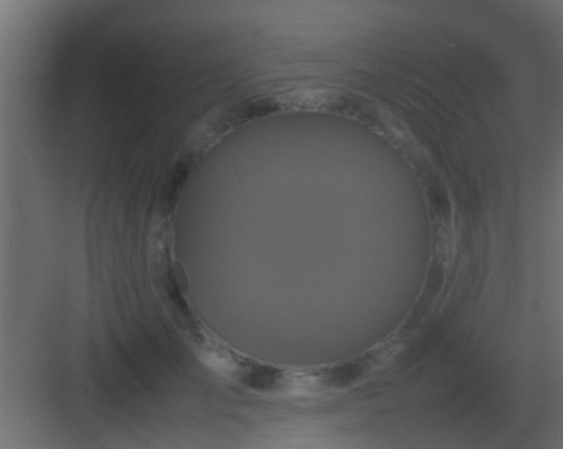X0000082940701200702081624