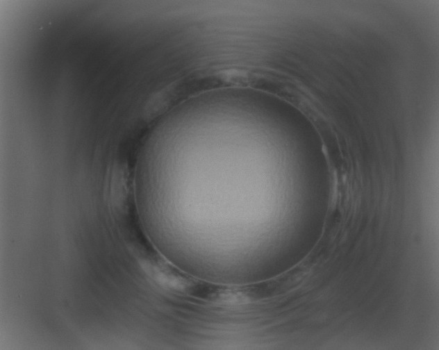 X0000082940702200702081624