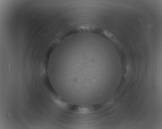 X0000082940706200702081624