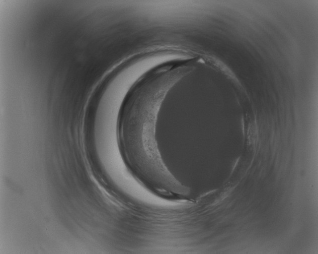 X0000082940722200702081623