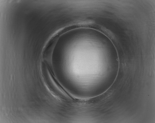 X0000082940728200702081623