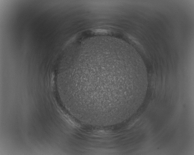 X0000082940737200702081623