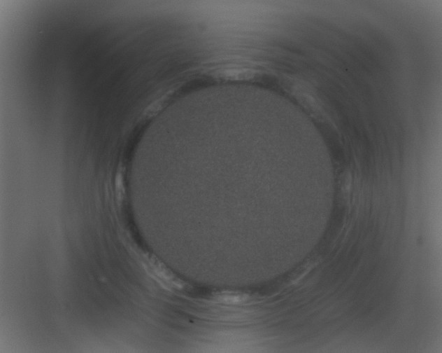 X0000082940746200702081623