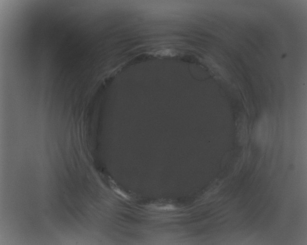 X0000082940747200702081623