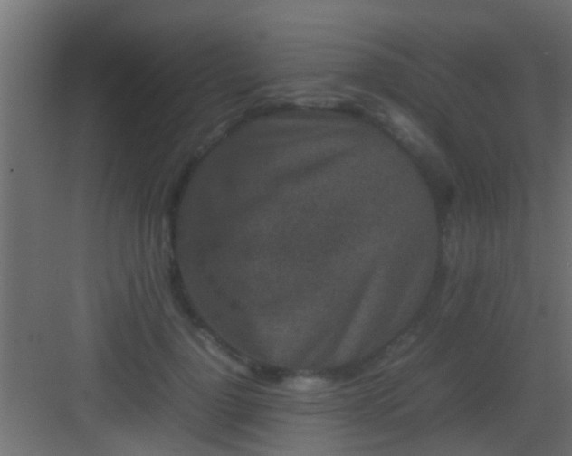 X0000082940748200702081623