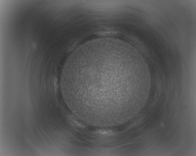 X0000082940749200702081623