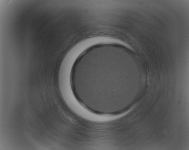 X0000082940750200702081623