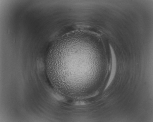 X0000082940751200702081623