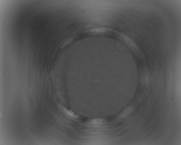 X0000082940758200702081623