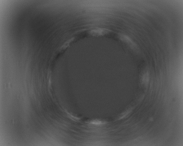 X0000082940759200702081623