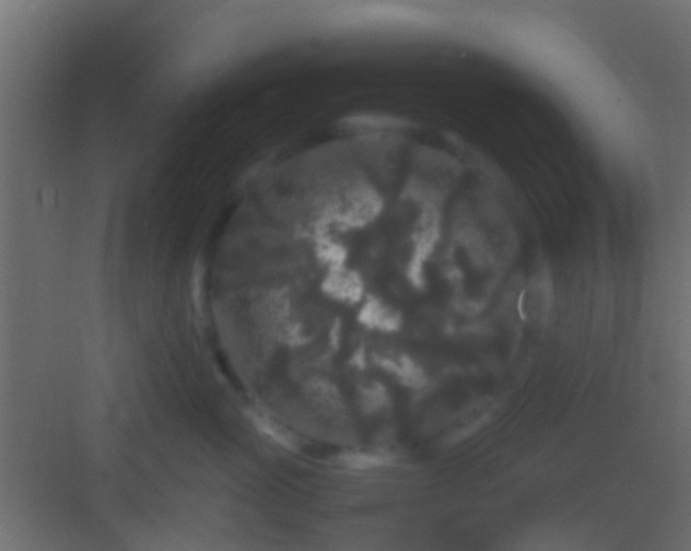 X0000082940765200702081623