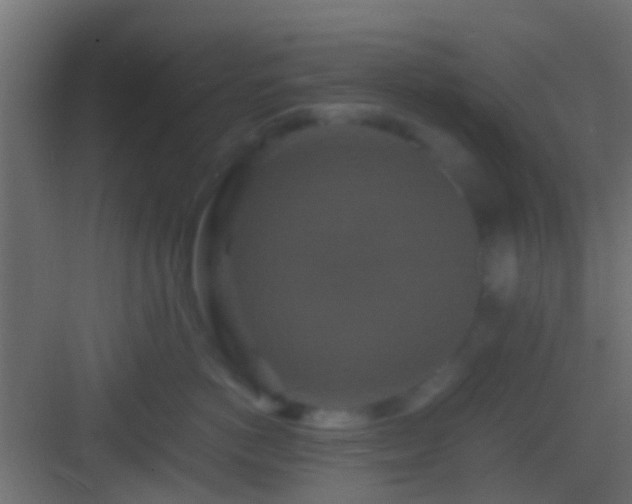 X0000082940766200702081623
