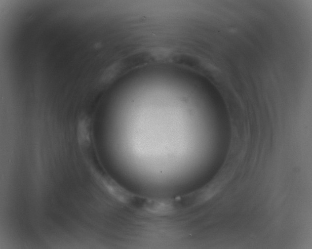 X0000082940768200702081623