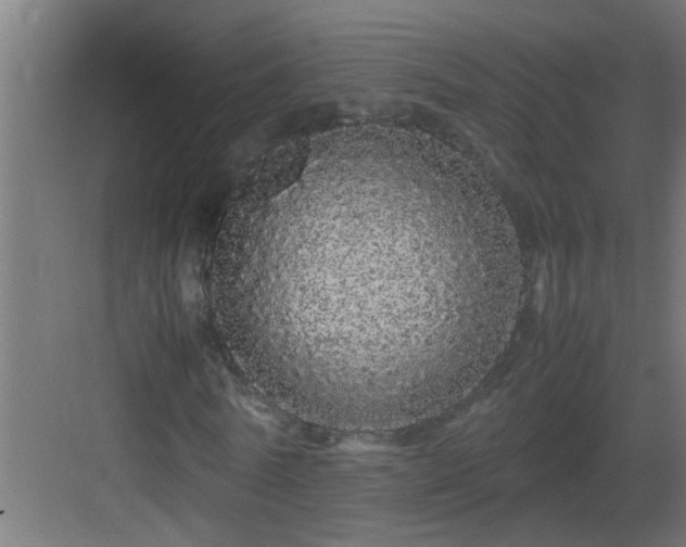 X0000082940770200702081623
