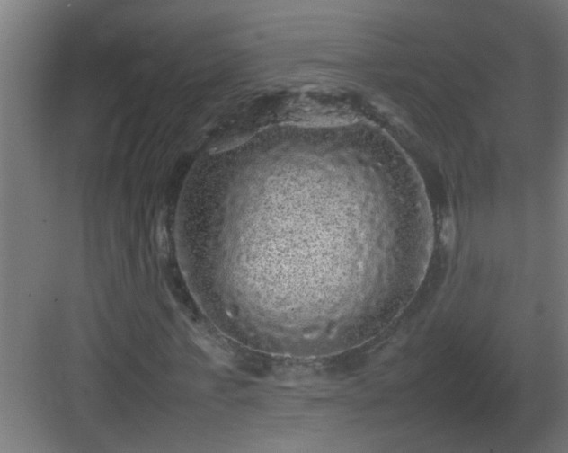X0000082940771200702081623