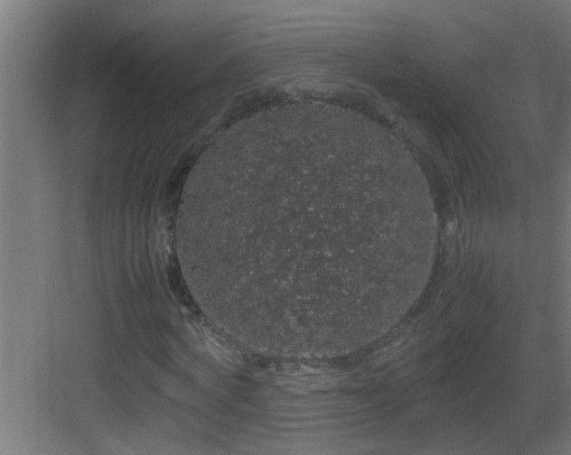 X0000082940772200702081623