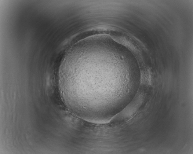 X0000082940776200702081622