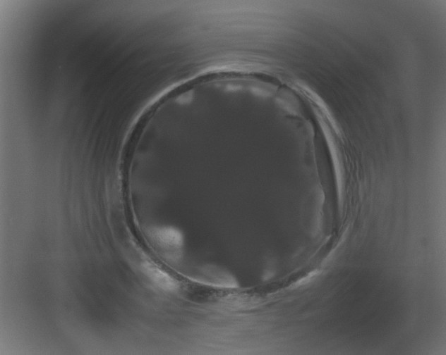 X0000082940779200702081622