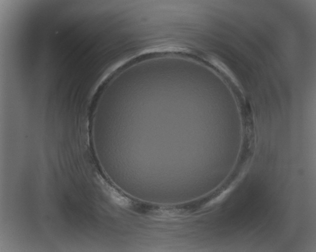 X0000082940781200702081622