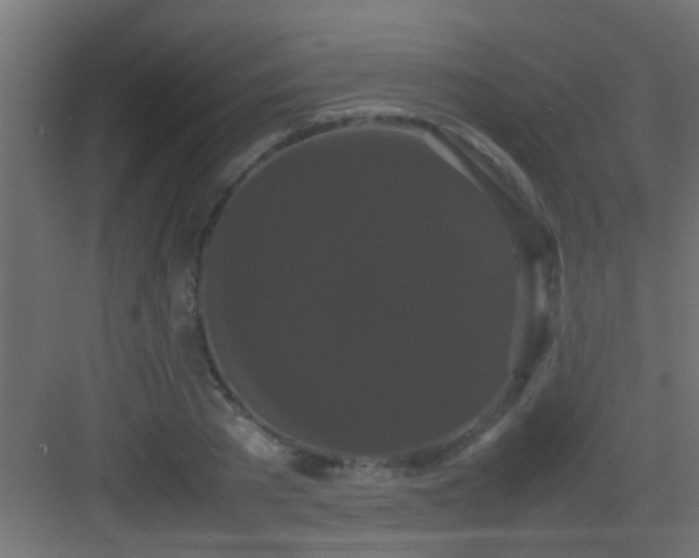 X0000082940785200702081622