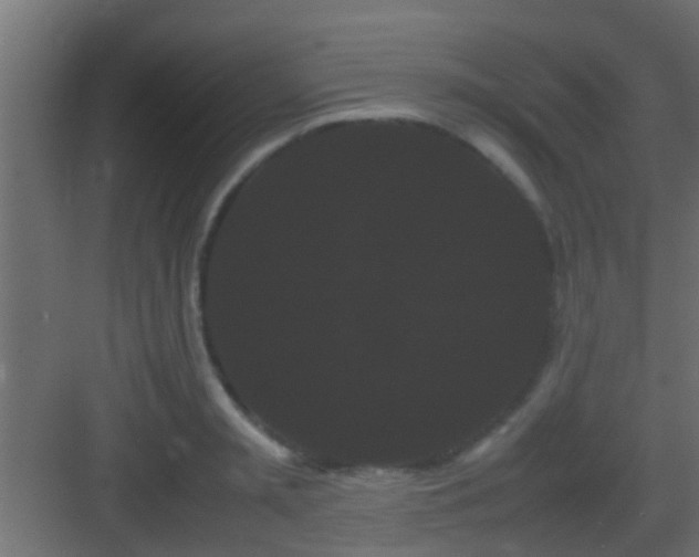 X0000082940797200702081622