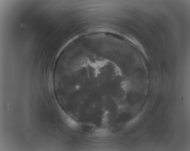 X0000082940798200702081622