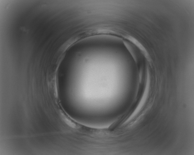 X0000082940801200702081622