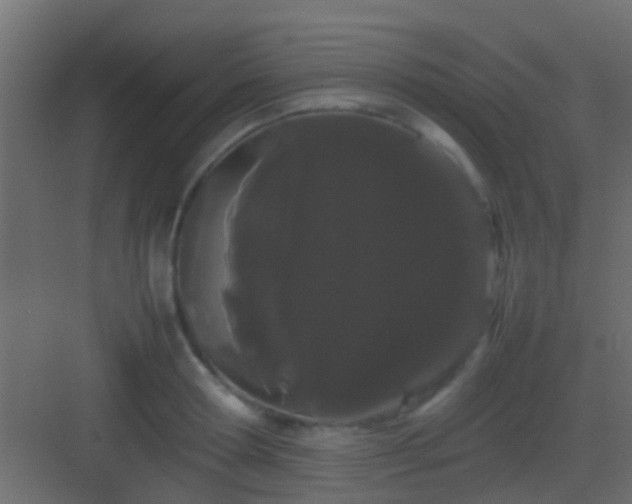 X0000082940802200702081622