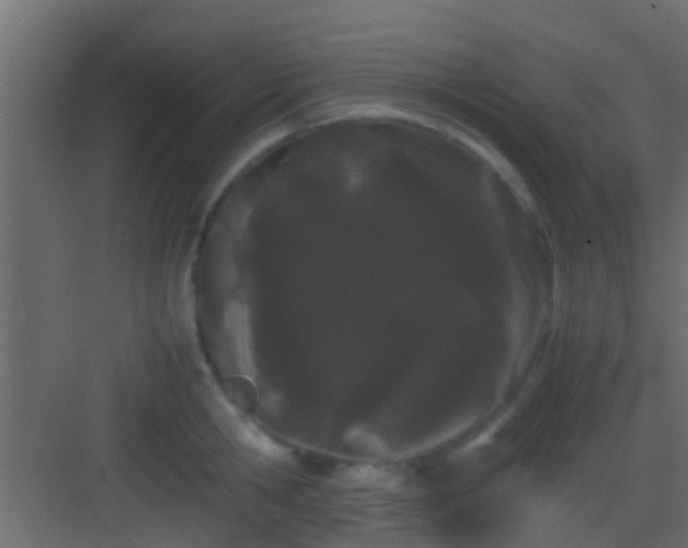 X0000082940806200702081622
