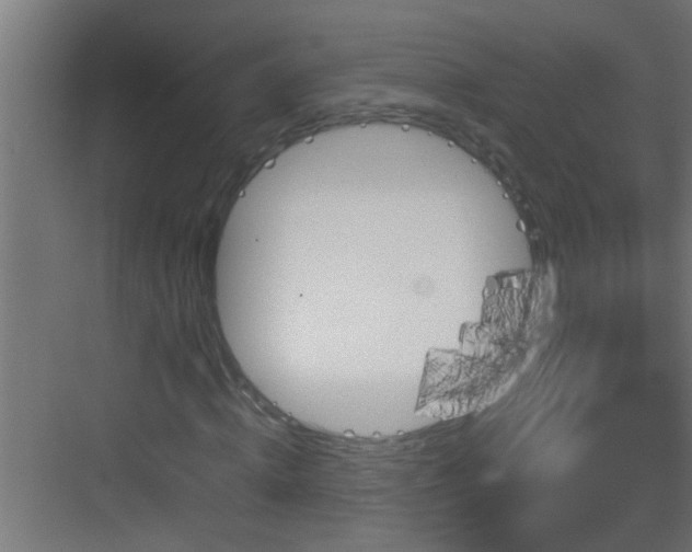 X0000082940820200702081621