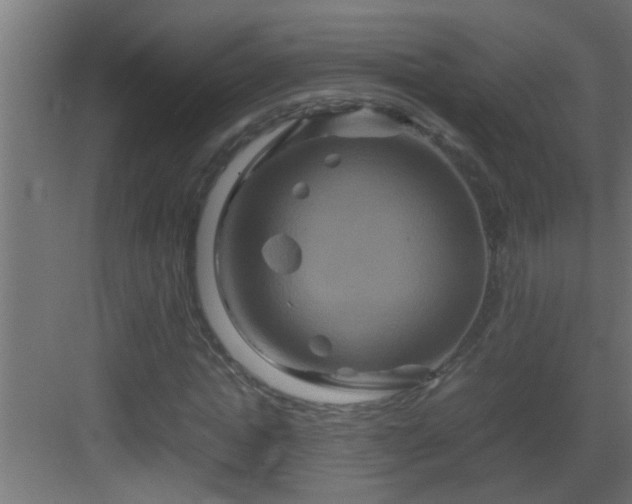 X0000082940822200702081621