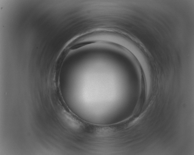 X0000082940830200702081621