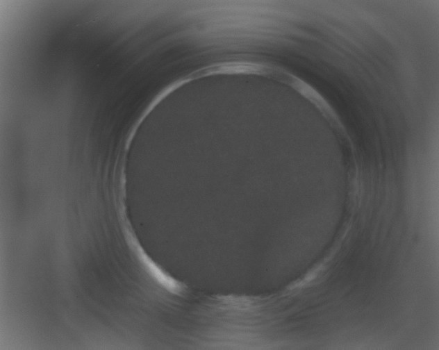 X0000082940852200702081622