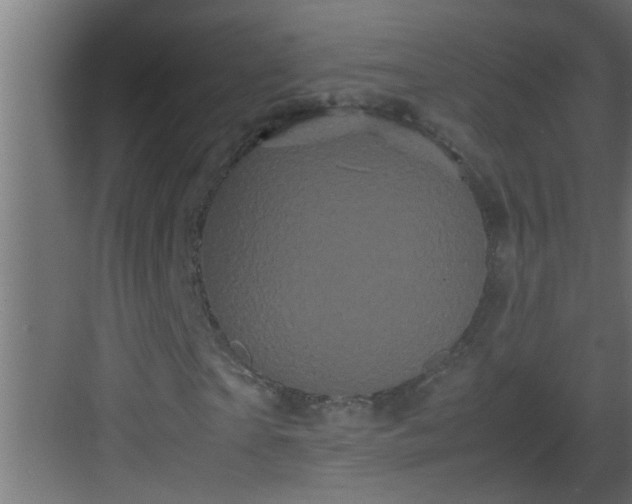 X0000082940865200702081621