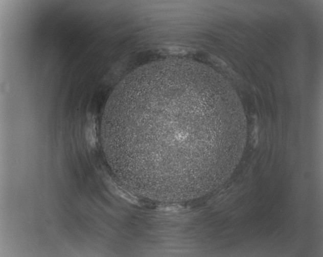 X0000082940866200702081621