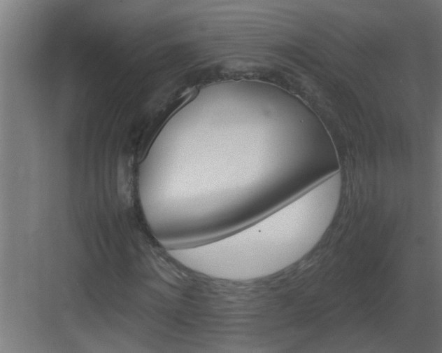 X0000082940868200702081621