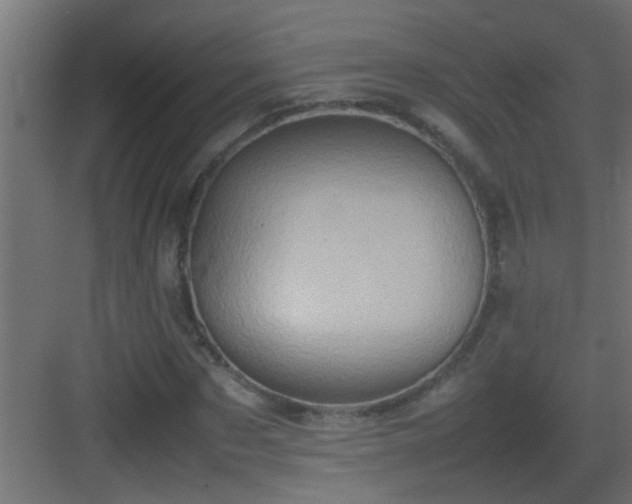 X0000082940873200702081621