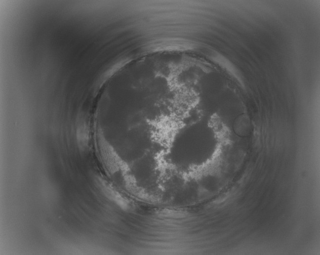 X0000082940874200702081621