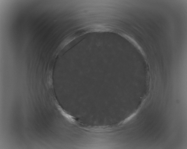 X0000082940889200702081621