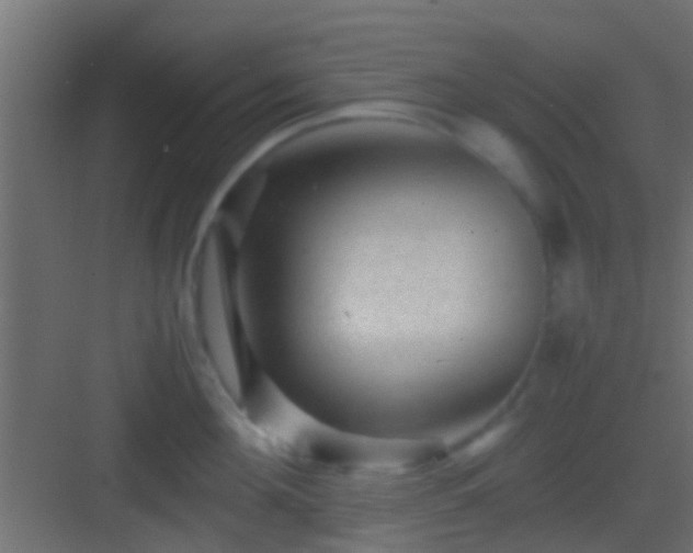 X0000082940908200702081620