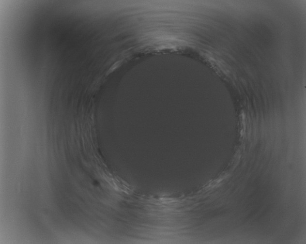 X0000082940916200702081619
