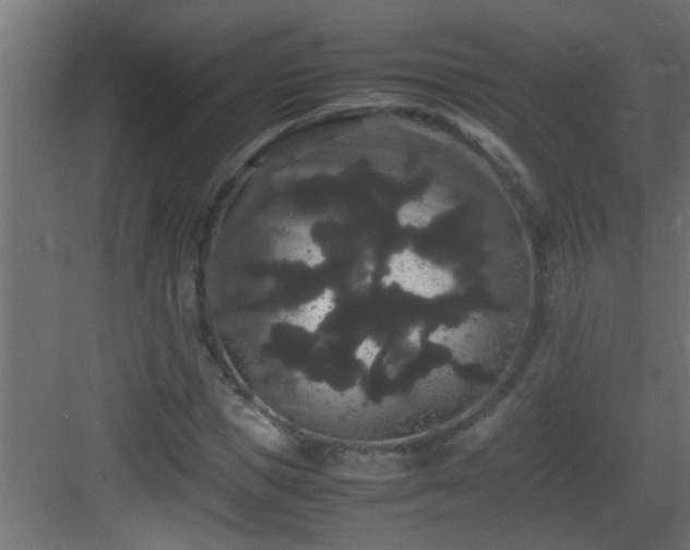 X0000082940921200702081619
