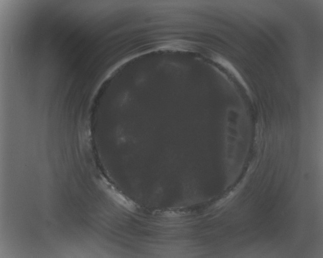 X0000082940923200702081619