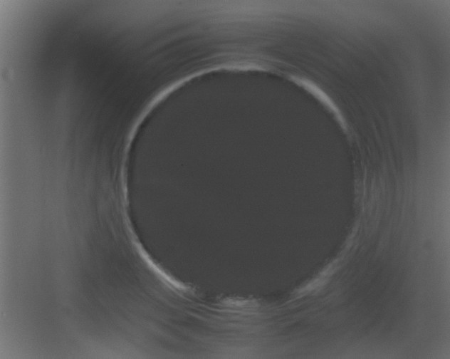 X0000082940935200702081620