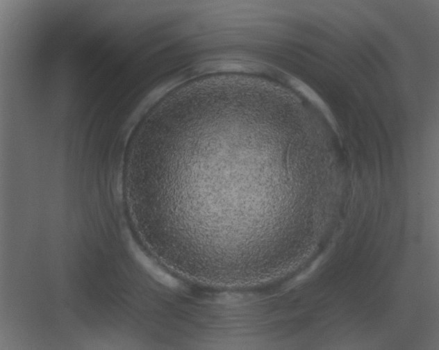 X0000082940938200702081620