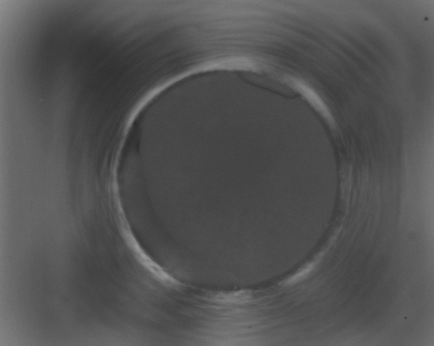 X0000082940944200702081620