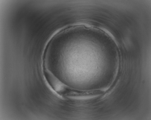 X0000082940949200702081620